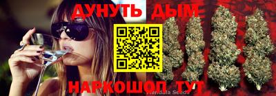 гашишное масло Будённовск