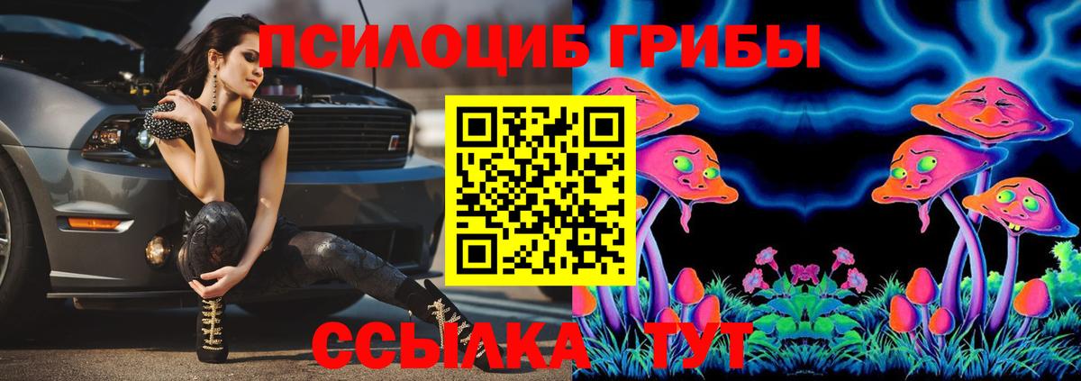 купить закладку  Псилоцибиновые грибы Psilocybine cubensis  Вход с VPN  Севастополь 